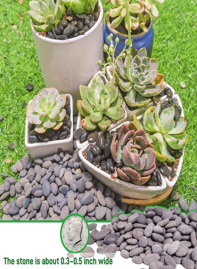 CJGQ 2.4lb River Rocks Pebbles for Plants & Succulents, Decorative Outdoor Landscaping & Aquarium Garden Rocks - Image 3